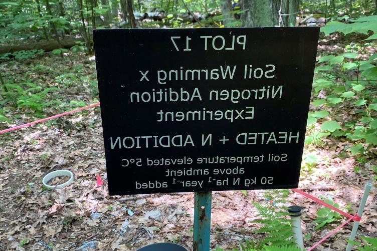 A sign identifying the study site at the Harvard Forest Long-Term Ecological Research site. 